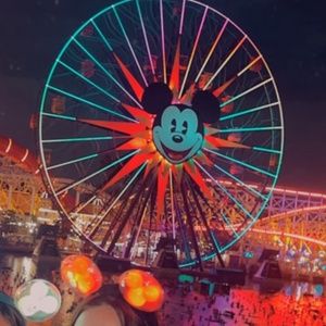 Meet your Posher, Karoline